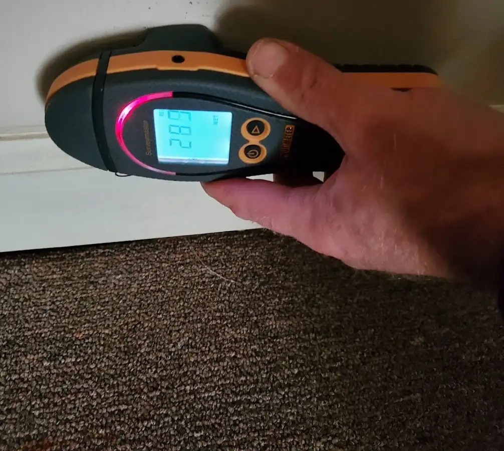Moisture detection at baseboard during Sewage Cleanup & Sanitation in Petersburg
